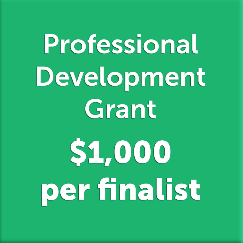 Professional Development