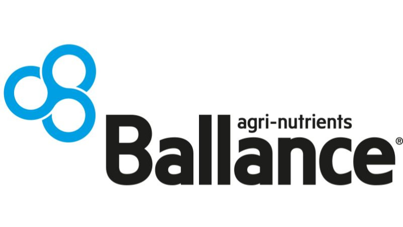 white Ballance Primary Black and Blue