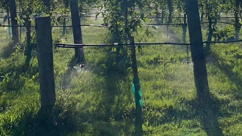 irrigation 2
